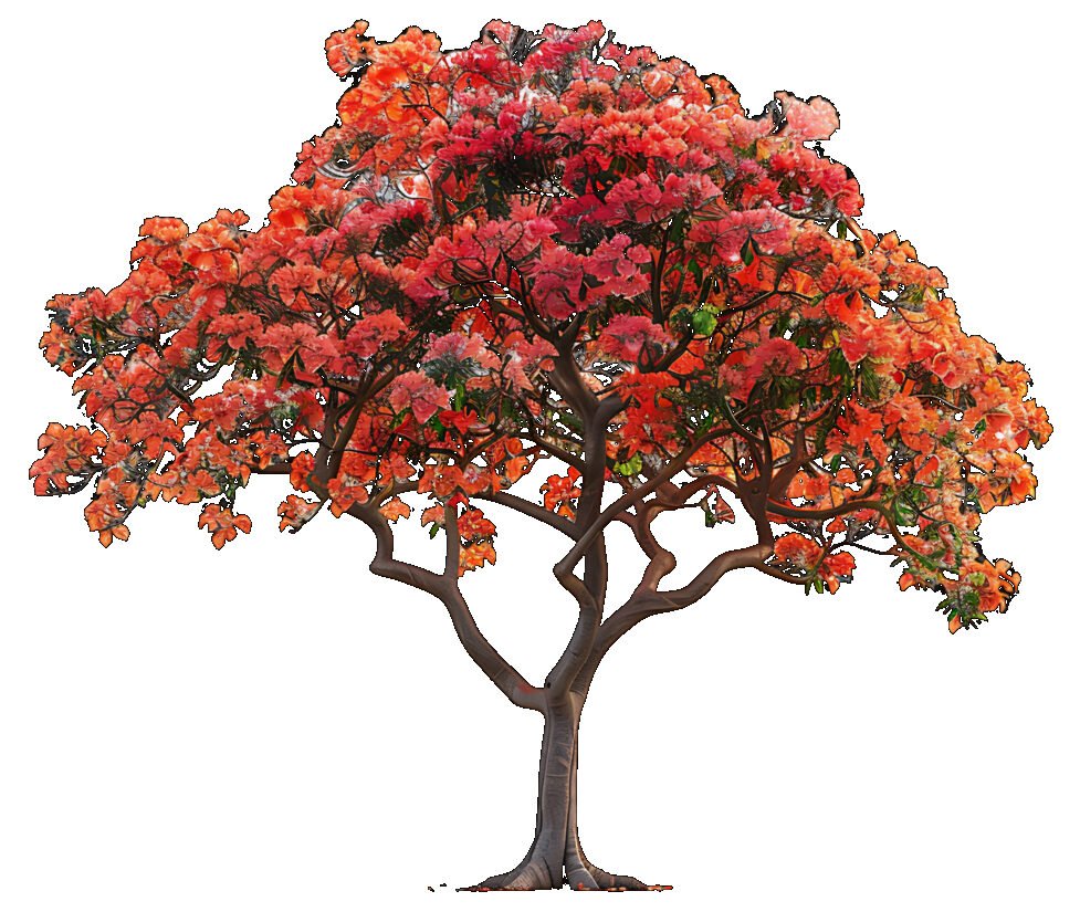 poincianavistas.site